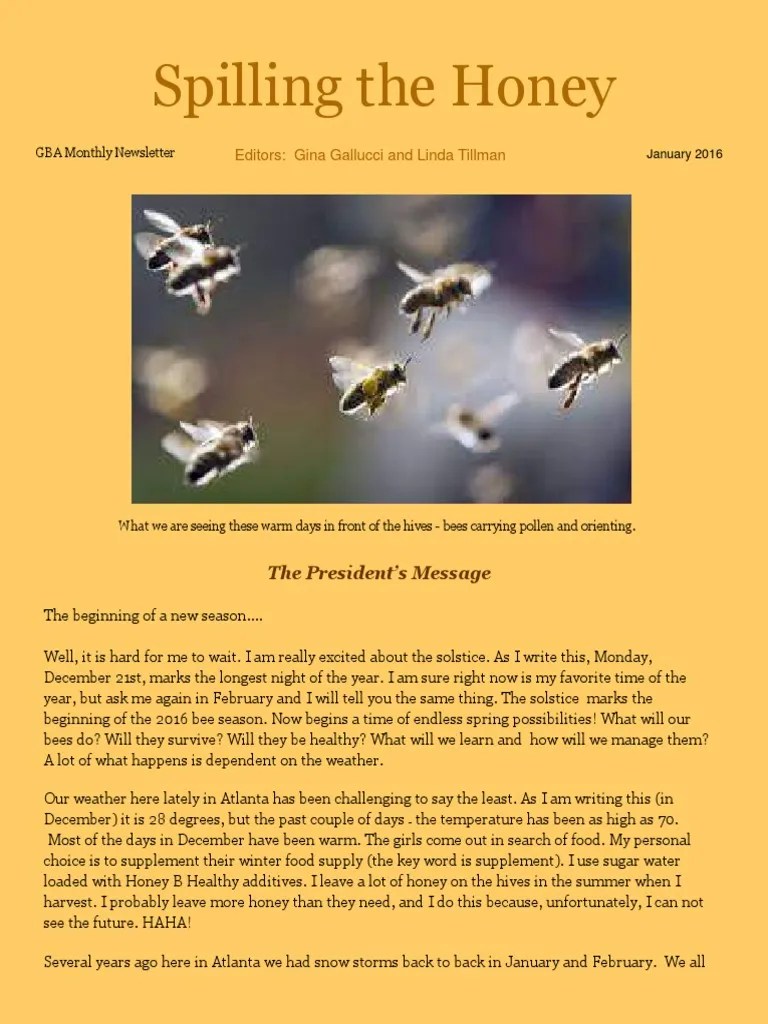 Beehive Newsletter Templates