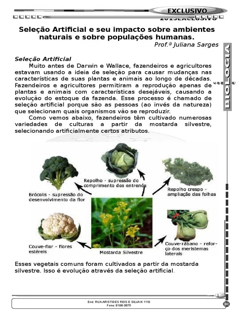Seleção Artificial.doc | Seleção Natural | Cães