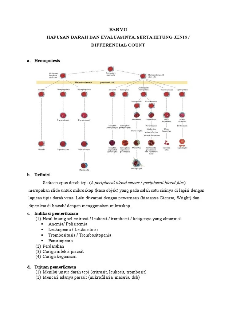 Materi 4 5 Eval Darah | PDF