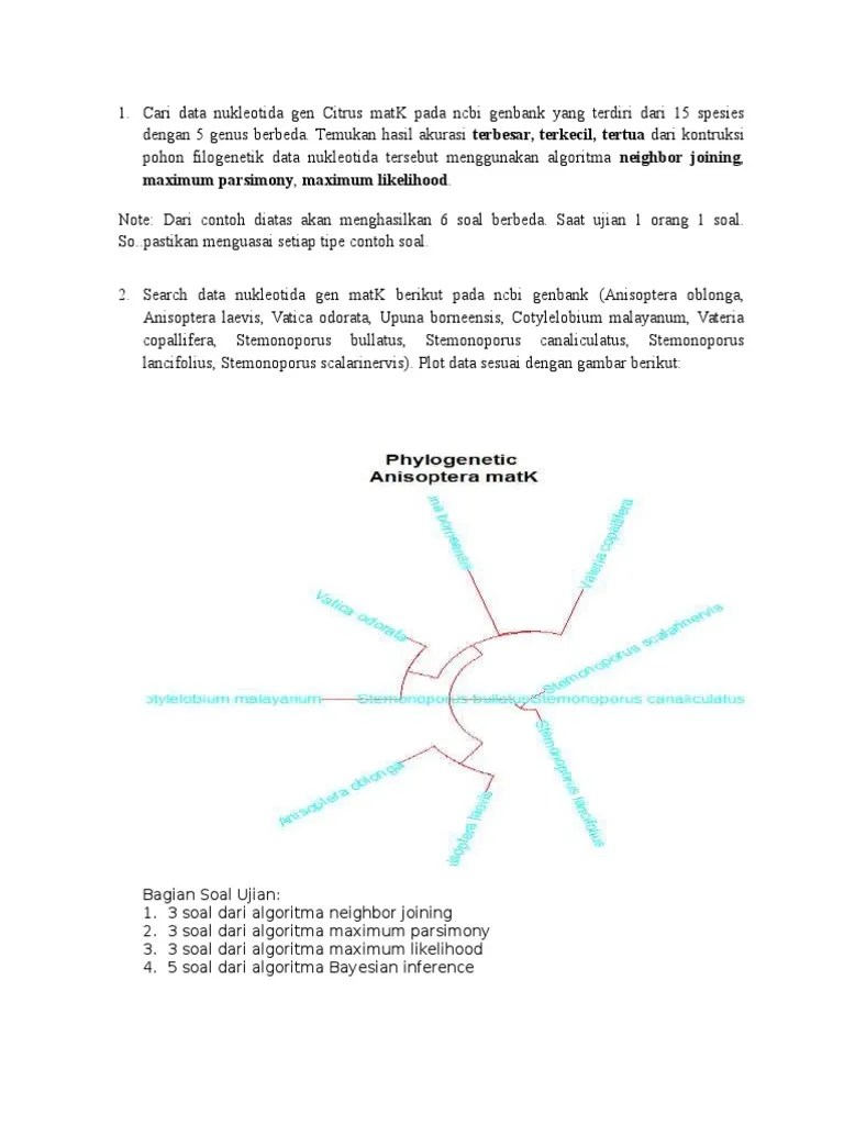Contoh Soal Final Prak Bioinformatika | PDF