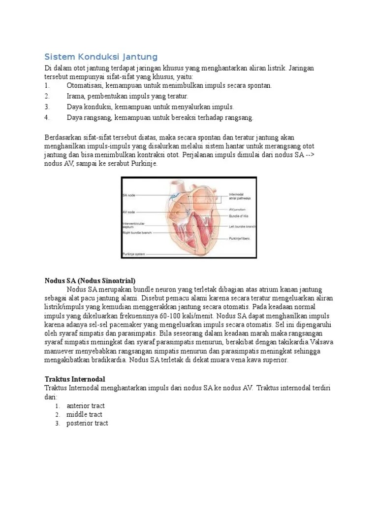 Sistem Konduksi Jantung (BMS 2) | PDF