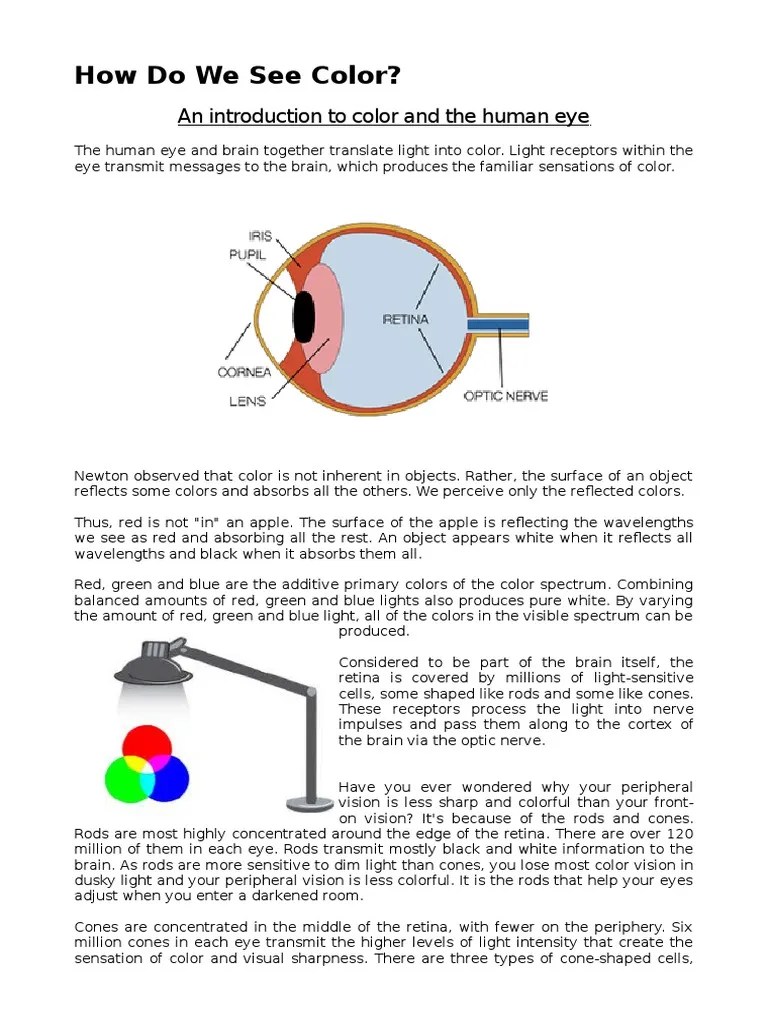How Do We See Color | Eye | Color