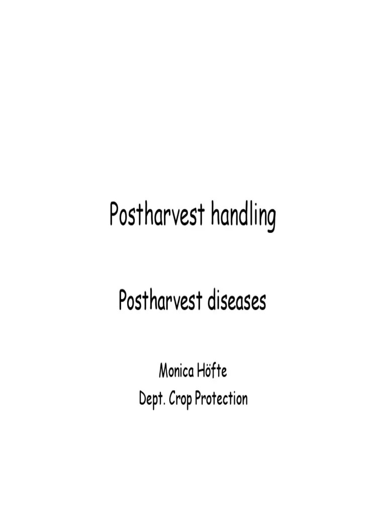 Postharvest Handlingintroduction | PDF | Postharvest | Vegetables