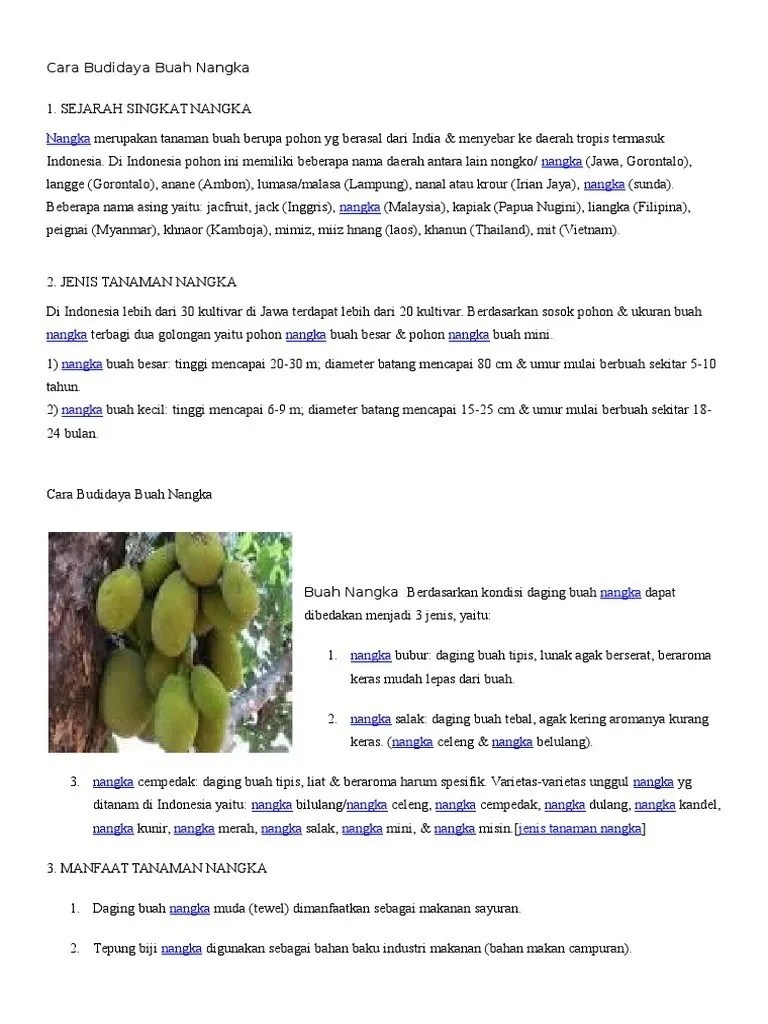 Tentukanlah struktur teks laporan observasi berikut dengan memberi garis bawah. Cara Budidaya Buah Nangka Pdf