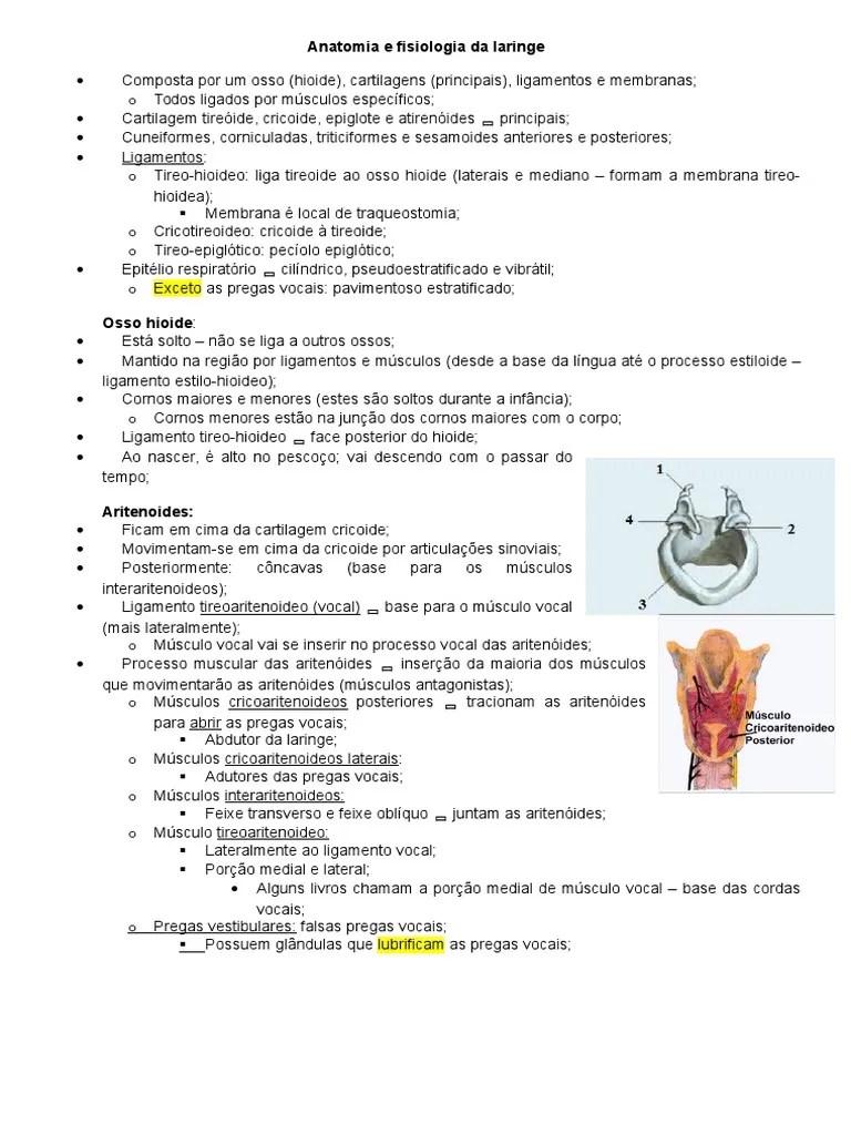 Anatomia E Fisiologia Da Laringe | PDF | Laringe | Garganta Humana