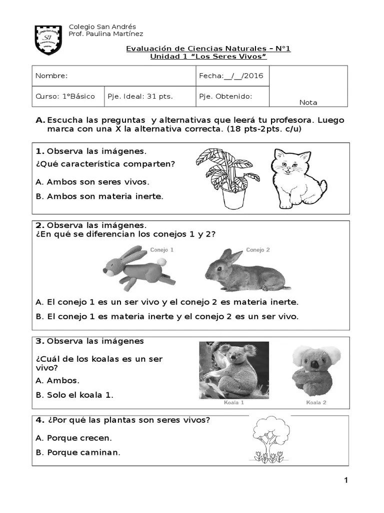 Ciencias - 1° - EVALUACIÓN - UNIDAD 1 - Los Seres Vivos | PDF