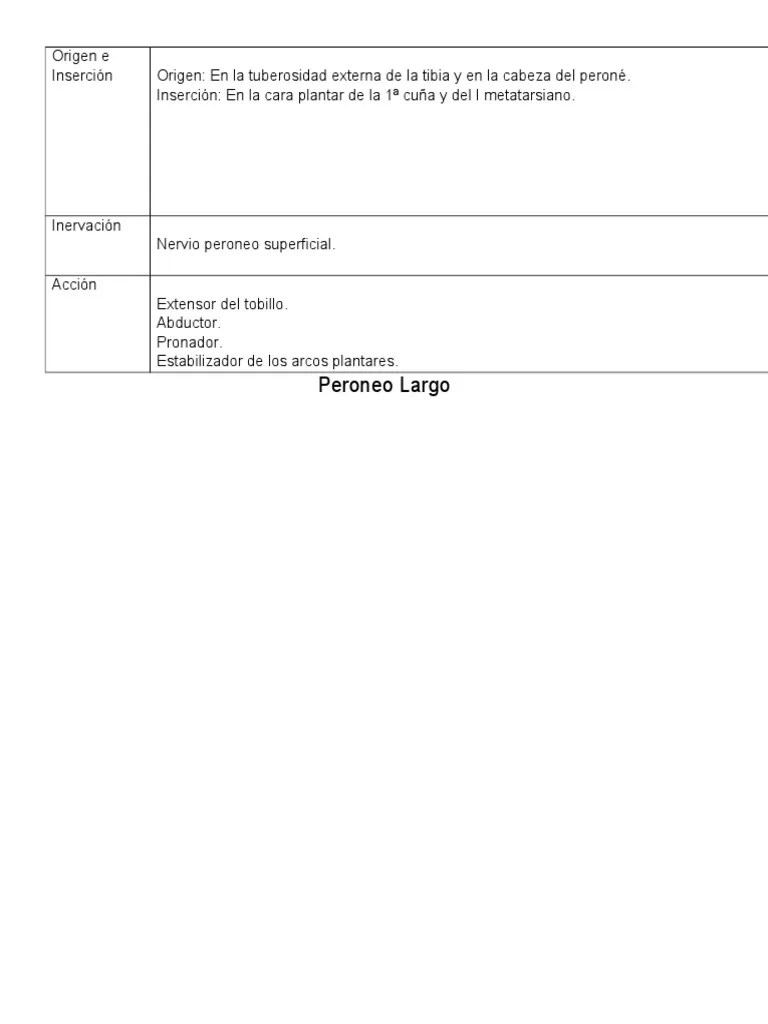 Origen E Inserción Músculos | Descargar Gratis PDF | Pie | Rodilla