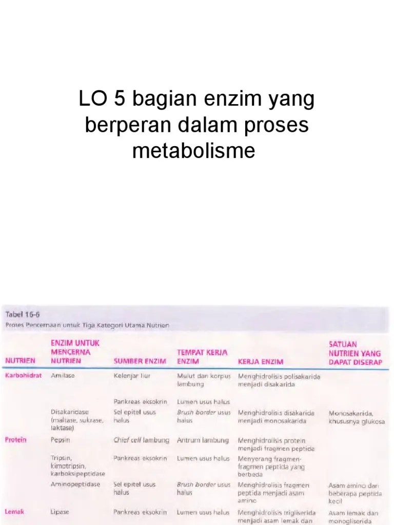 LO 5 Bagian Enzim Yang Berperan Dalam Proses Metabolisme | PDF