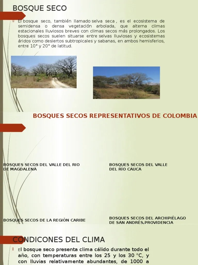 Ecosistema Bosque Sec | PDF | Ecorregiones | Los Bosques