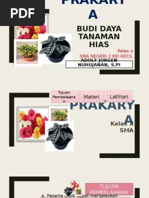 Sebutkan Dua Tipe Tempat Untuk Budidaya Tanaman Hias - Berbagi Tanam