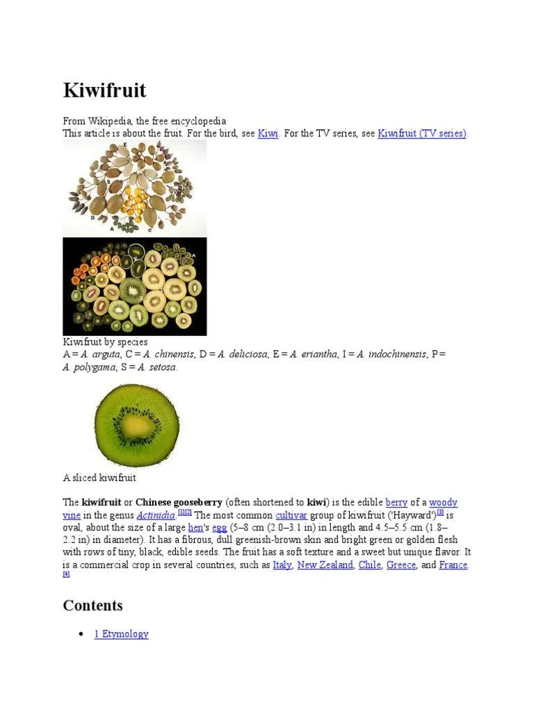 Kiwifruit: Kiwi Kiwifruit (TV Series) | PDF | Horticulture And ...