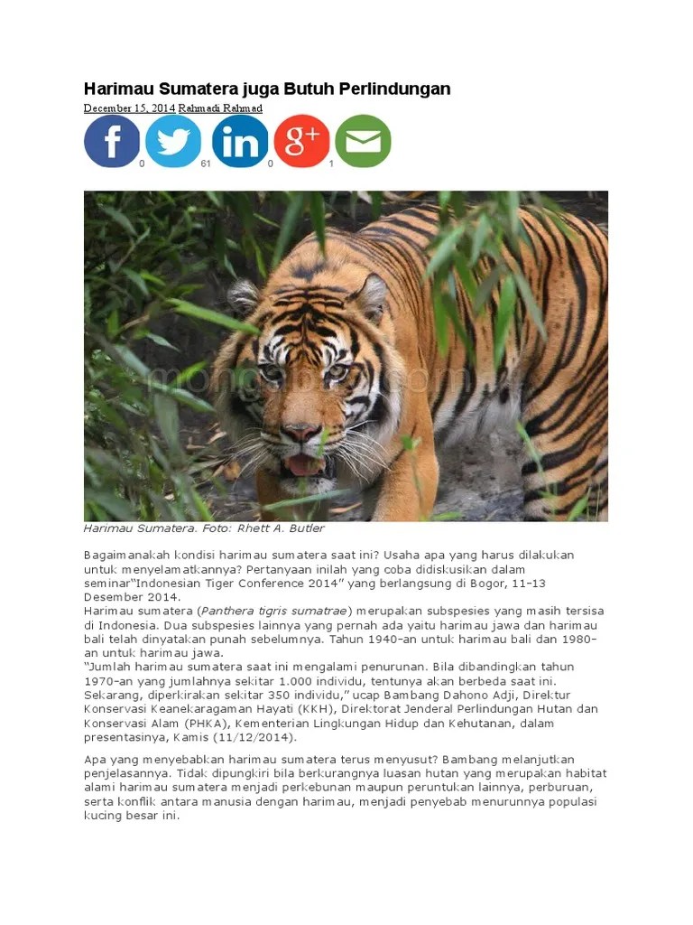 23+ Contoh Pelestarian Hewan Langka Secara Ex Situ, Penting!