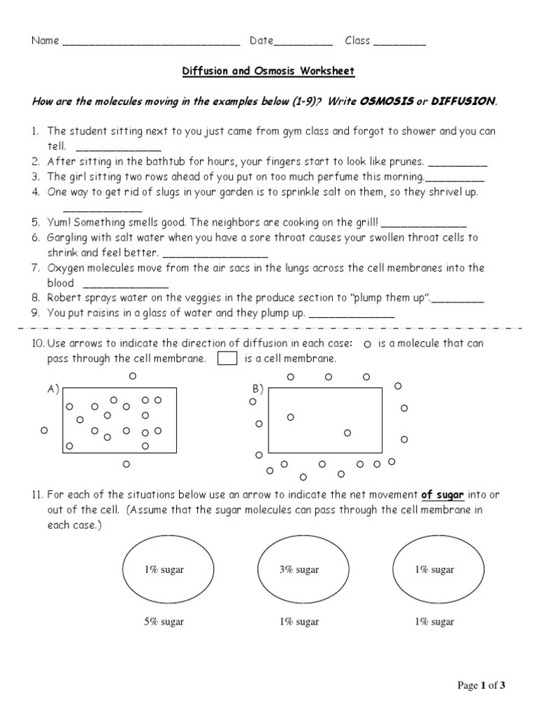 Ws Water Potential Ans 1415 2 Plant cells with the internal water pressure are turgid.