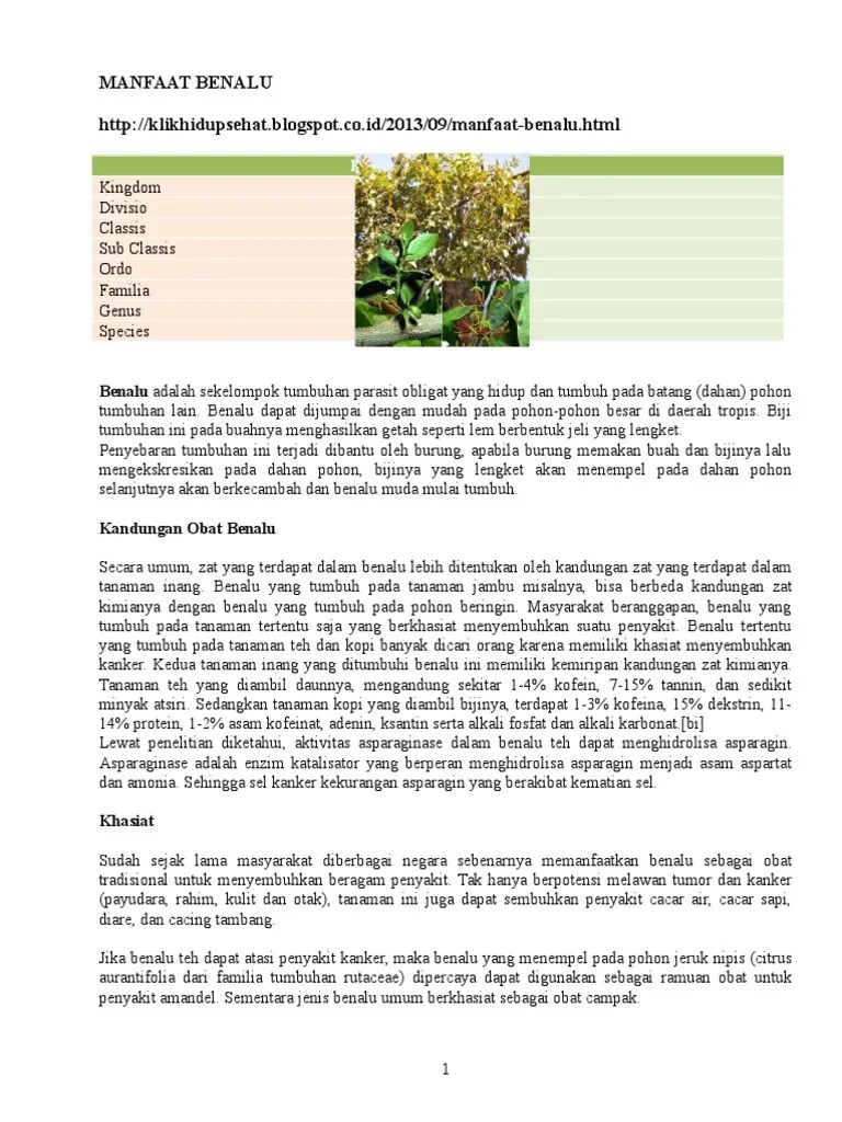 Manfaat Benalu | PDF