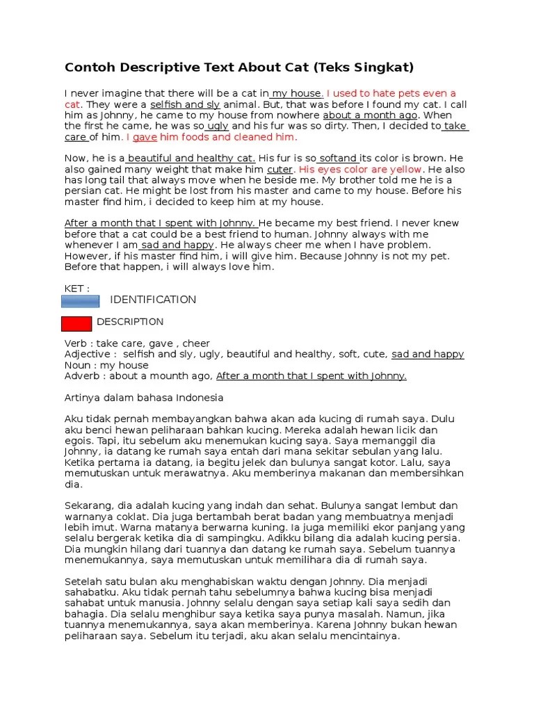 DDContoh Descriptive Text About Cat | PDF