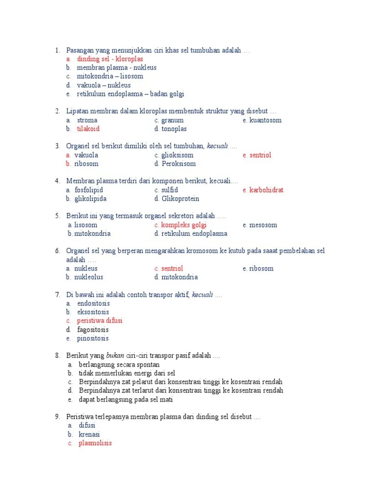 Lipatan Membran Dalam Kloroplas Membentuk Struktur Yang Disebut