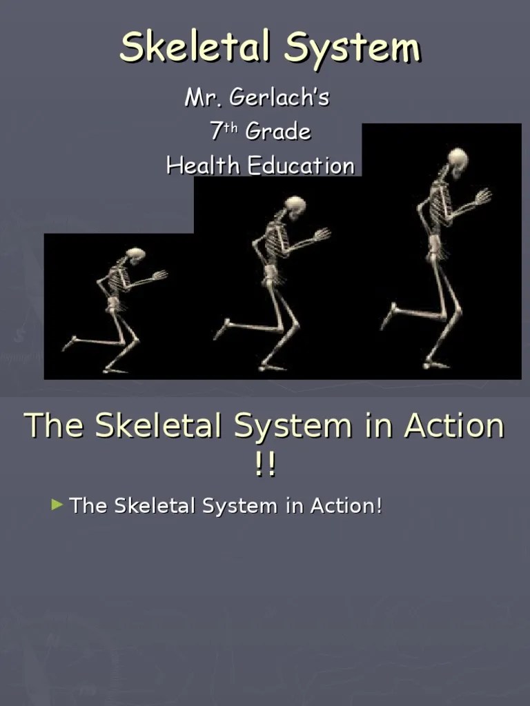 Skeletal System Powerpoint | PDF | Skeleton | Bone
