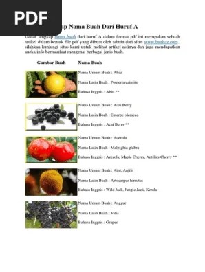 B · bacang · belimbing · belimbing sayur · bengkuang · benda · beri hitam · beri emu · bit . Daftar Lengkap Nama Buah Dari Huruf A Pdf