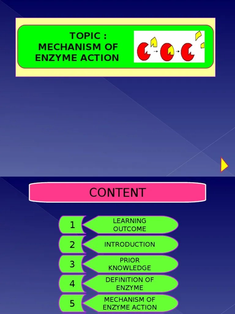 Mechanism Of Enzyme Action | PDF | Active Site | Enzyme