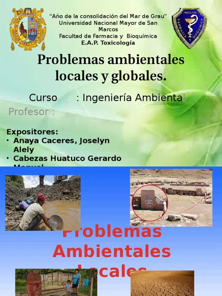Problemas Ambientales Locales Y Globales | PDF | Deforestación | Contaminación