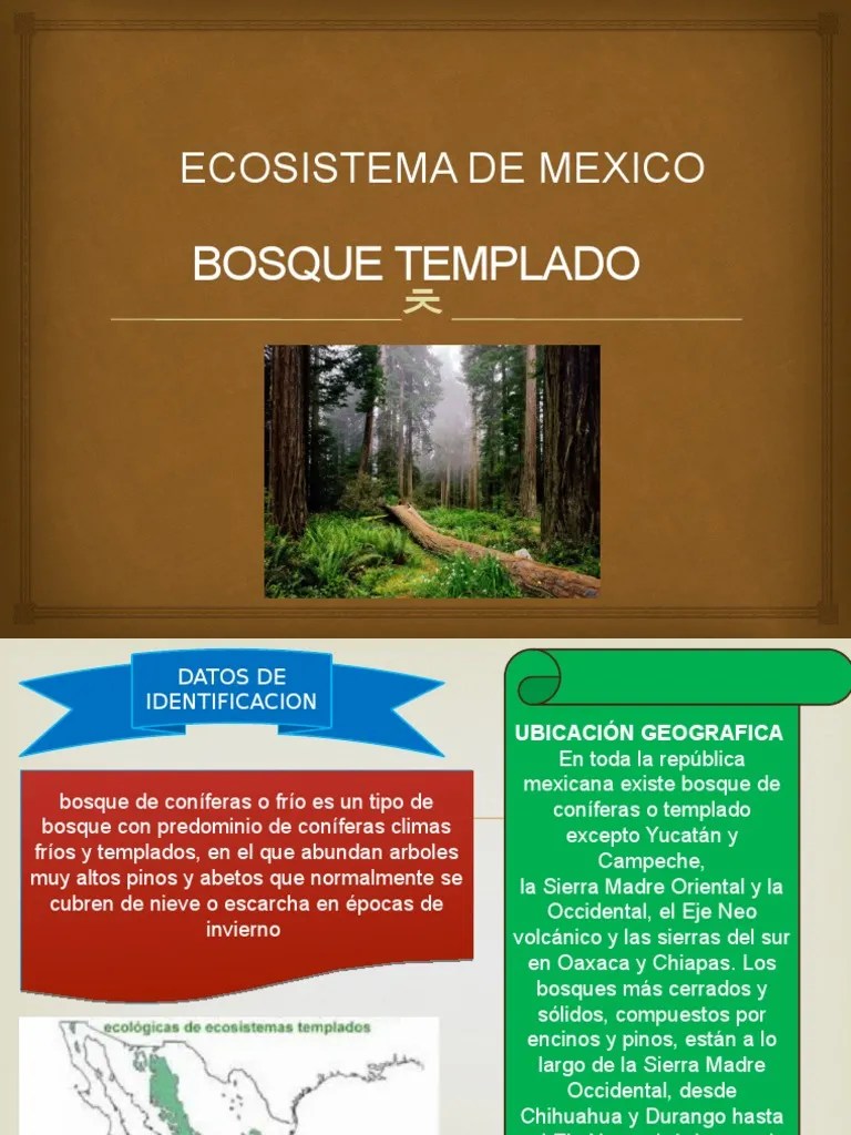 Bosque Templado | PDF | Sierra Madre Occidental | Suelo