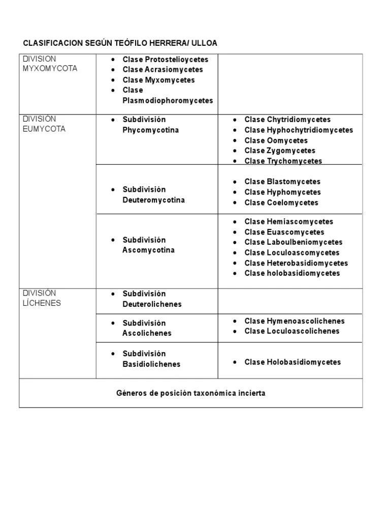 Clasificaciones De Hongos | PDF | Hongo | Ciencia Del Suelo