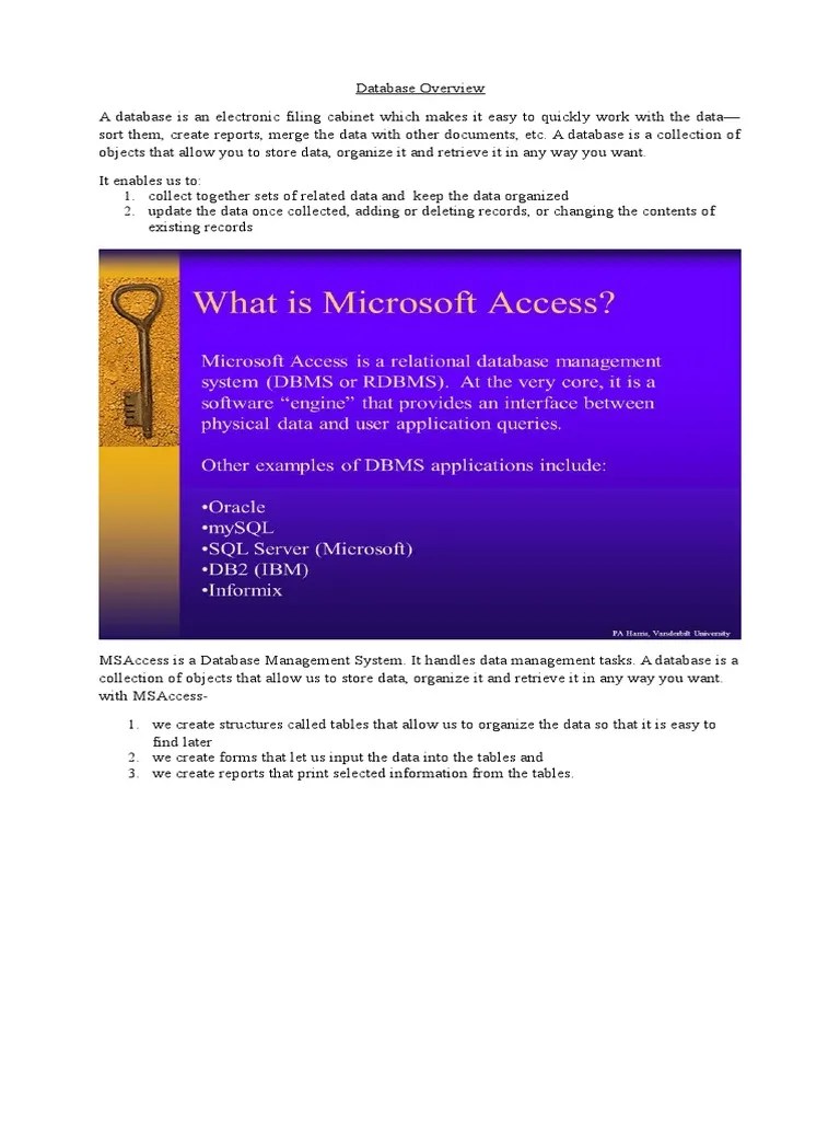 MSAccess Database Management System | PDF | Microsoft Access | Databases