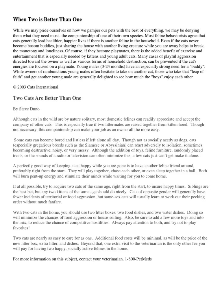 2 Kittens Better | PDF | Kitten | Cats