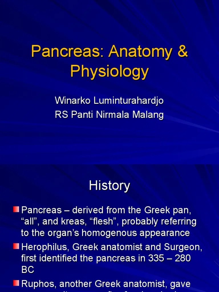 Pancreas | PDF | Pancreas | Insulin