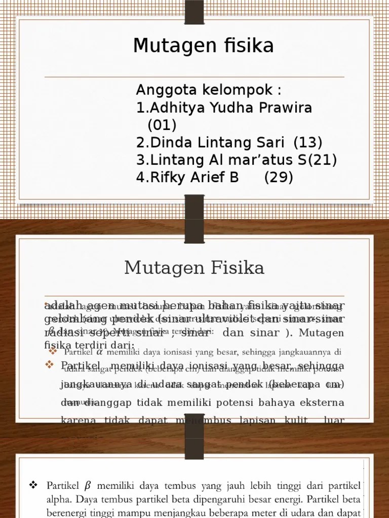 Mutagen Fisika 2 | PDF