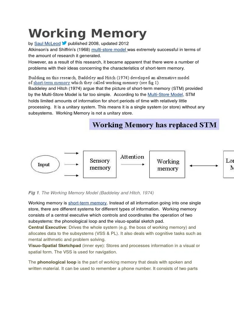 Working Memory | PDF | Working Memory | Information Processing