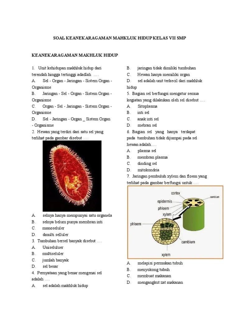 Bab 3 Klasifikasi 3 | PDF
