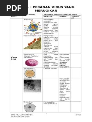 Peranan Virus Dalam Kehidupan | PDF