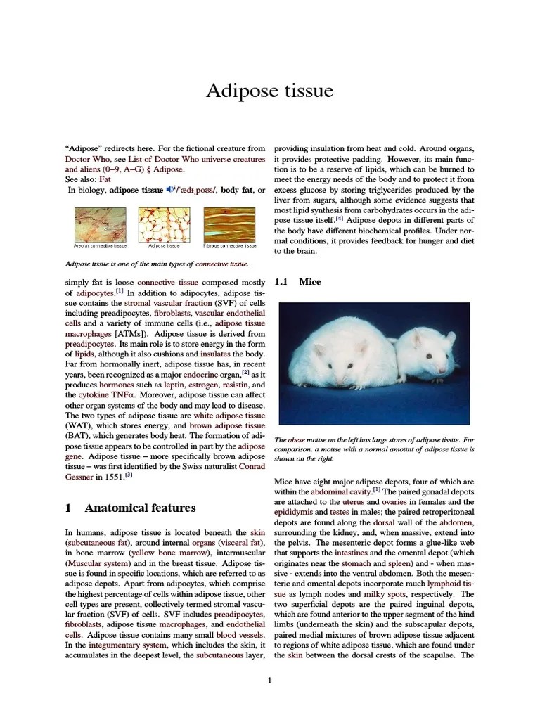Adipose Tissue Index | Download Free PDF | Adipocyte | Adipose Tissue