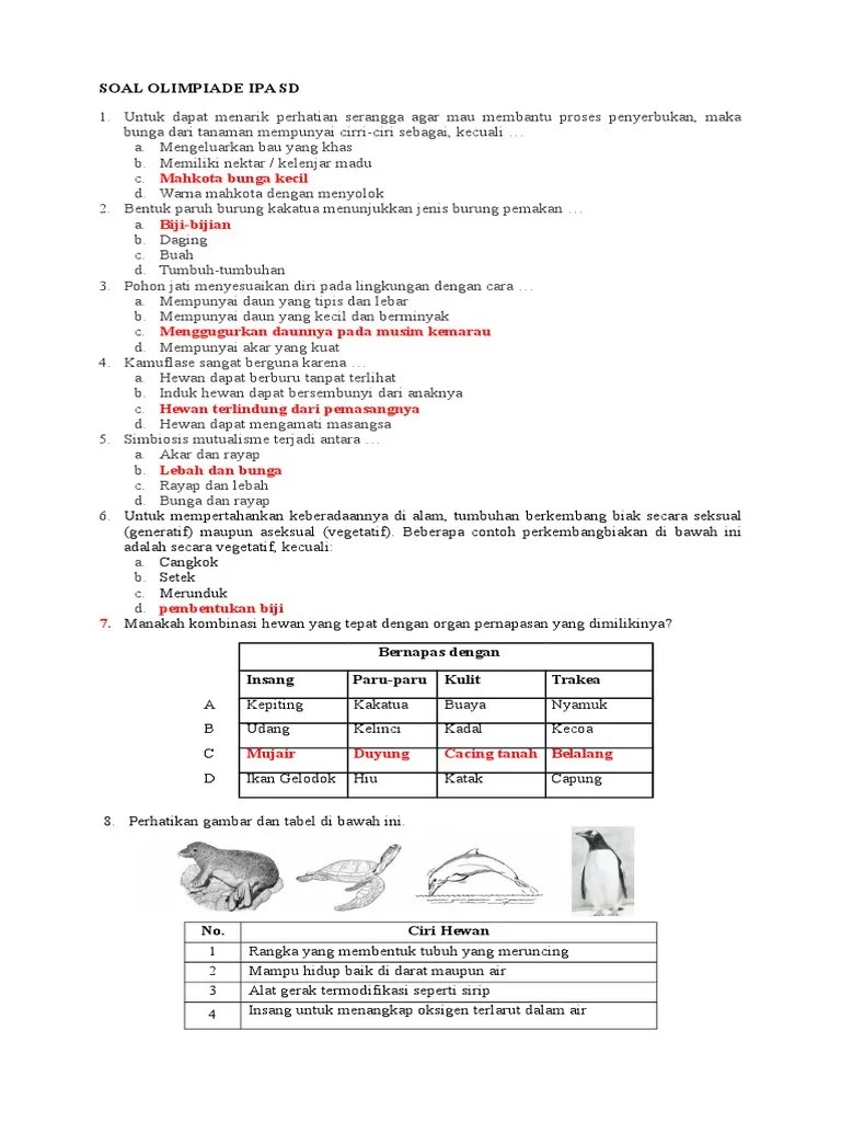 Hai sobat, kembali lagi dengan topik baru yaitu osd sd. Soal Soal Olimpiade Ipa Sd Kelas Tinggi Masnurul