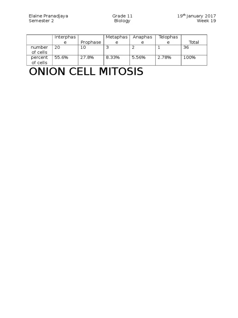 Onion Cell Mitosis LAB | PDF