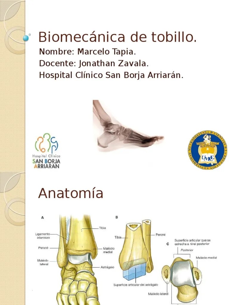 Biomecánica De Tobillo Y Pie | PDF | Tobillo | Pie