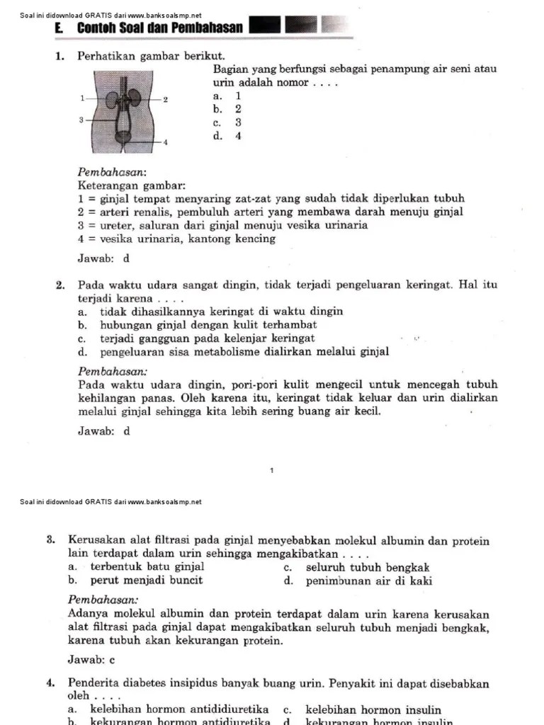 Adverbia penanda aspek dalam novel negeri 5 menara karya ahmad fuadi: Soal Un Ipa Smp Tentang Ekskresi Beinyu Com