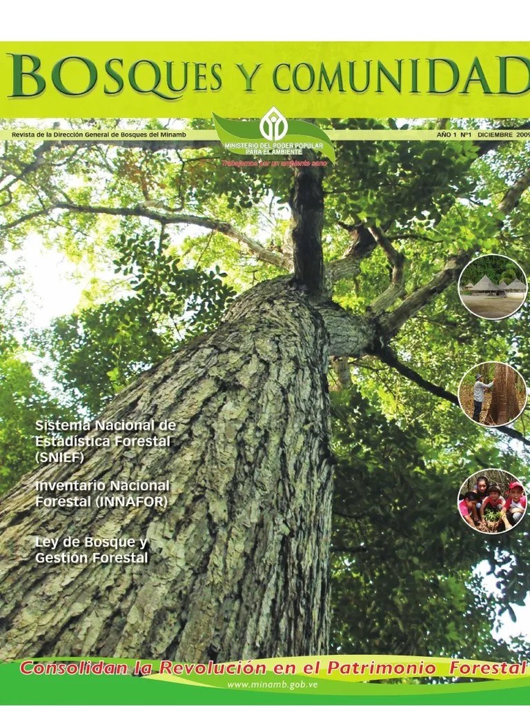 Bosques Y Comunidad | PDF | Los Bosques | Sistema Operativo