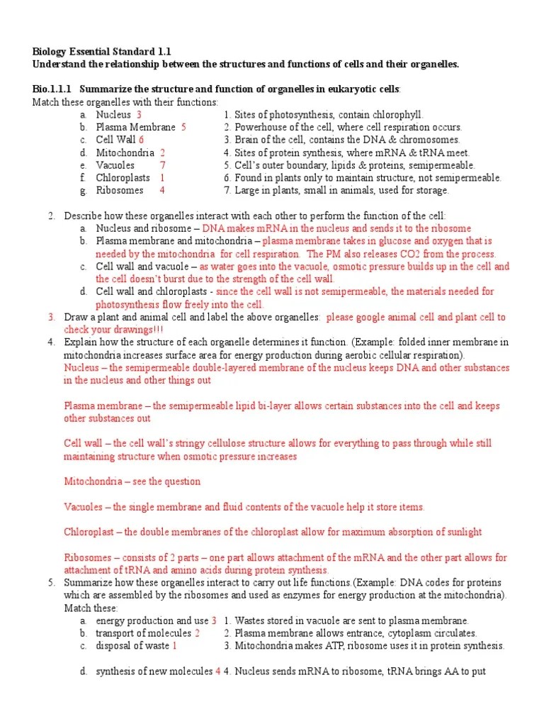 Answer key
