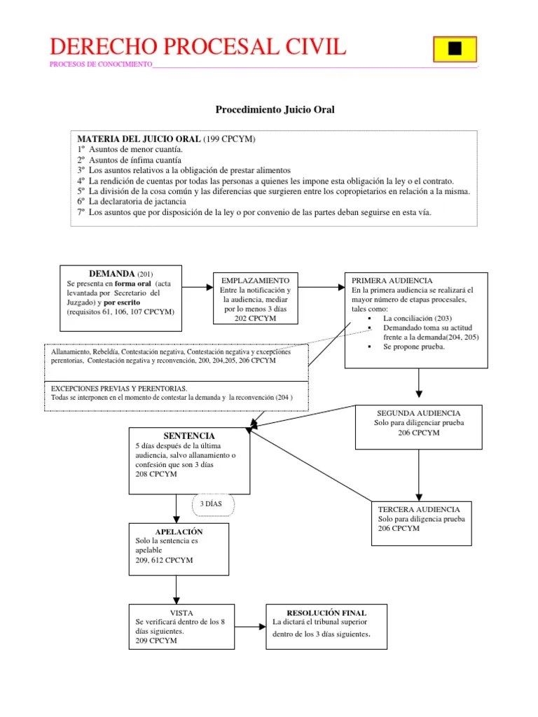 Microsoft Word - Esquema Juicio Oral PDF | Descargar Gratis PDF | Demanda Judicial | Evidencia (ley)