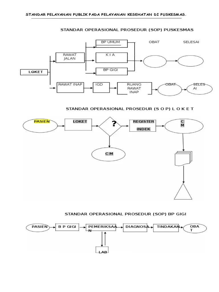 ALUR Pelayanan Puskesmas | PDF