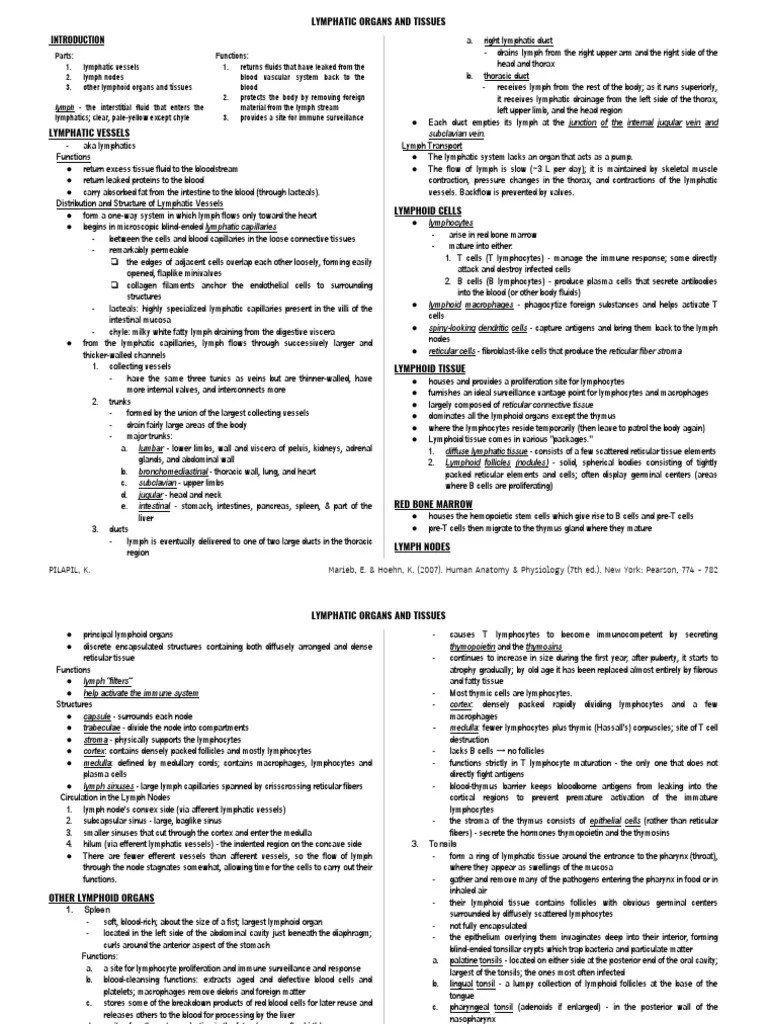 Lymphatic Organs And Tissues | PDF | Lymphatic System | Lymph Node