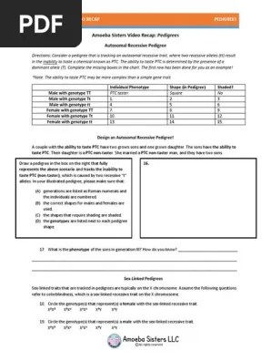 Copy Of Amoeba Sisters Pedigree Activity Directions Consider A Pedigree That Is Tracking An Autosomal Recessive Trait Where Two Recessive Alleles Tt Course Hero 3Amoeba Sisters Video Recap- DNA Chromosomes Genes and Traits.