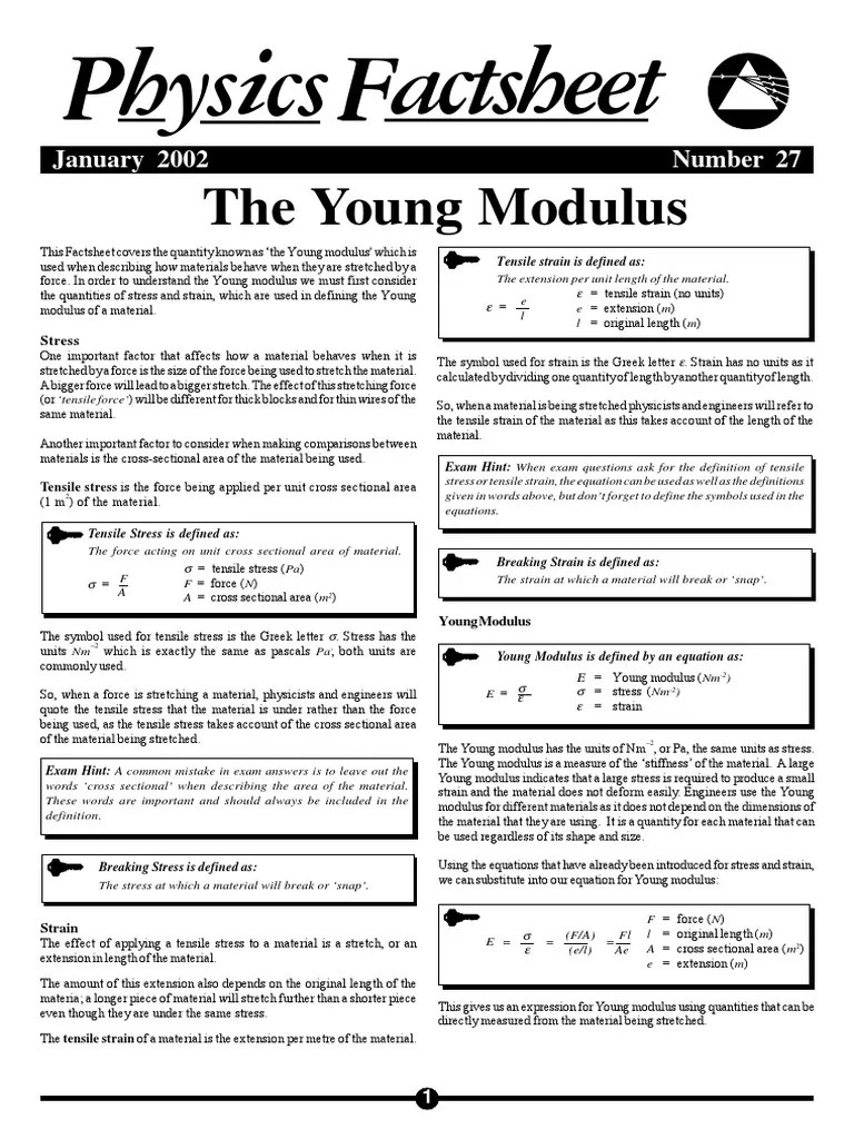 The Young Modulus | PDF | Young's Modulus | Stress (Mechanics)