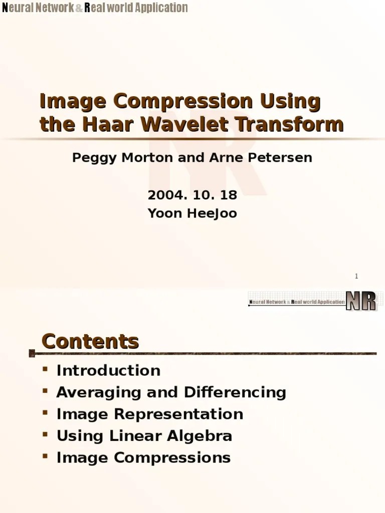 Image Compression Using The Haar Wavelet Transform | PDF | Functional Analysis | Numerical Analysis