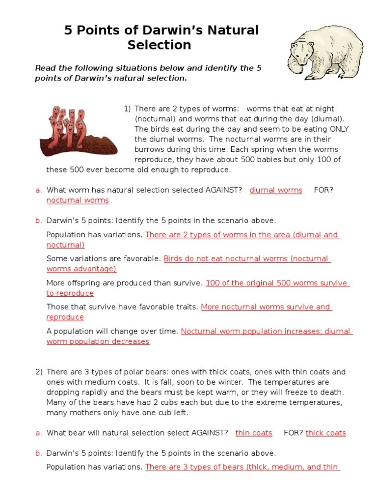 Ensure everything is filled in appropriately, without typos or absent blocks. 5 Points of Natural Selection - Answer Key (1) | Natural