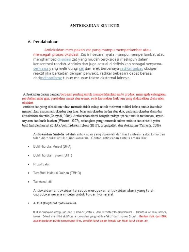 Antioksidan Sintetis-2 | PDF