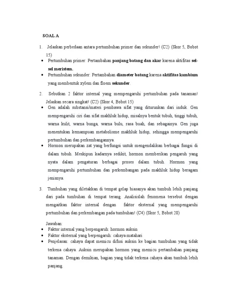 Materi ilmu biologi,,,, soal biologi kelas 12 merupakan salah satu. Soal Uraian Pdf
