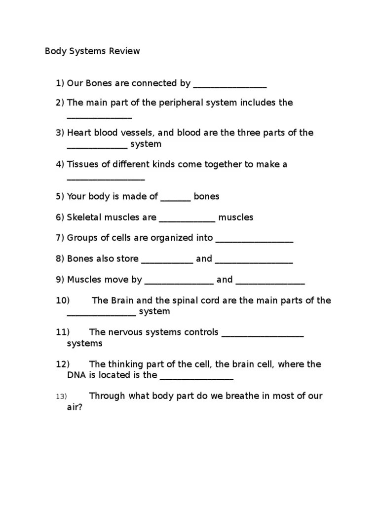 Body Systems Review | PDF | Human Body | Neuroscience